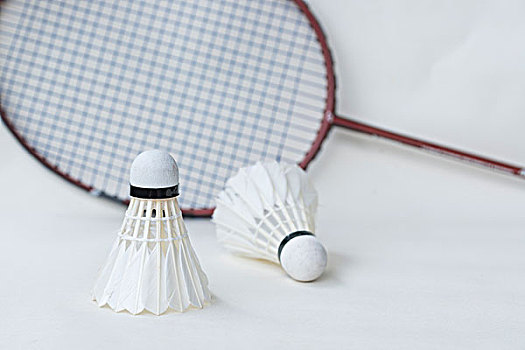 他们有着丰 他们有着丰