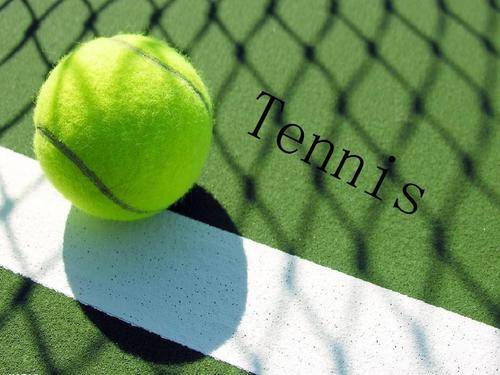 字母哥留队 字母哥留队